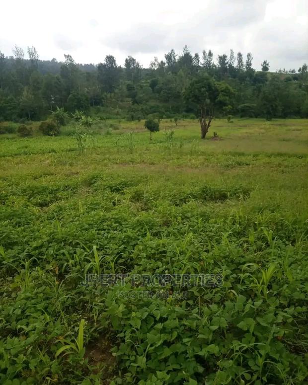 2 Acres for Sale - main view