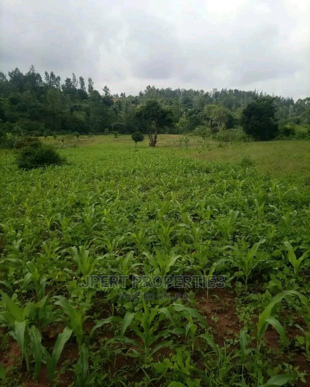 2 Acres for Sale - thumbnail 3