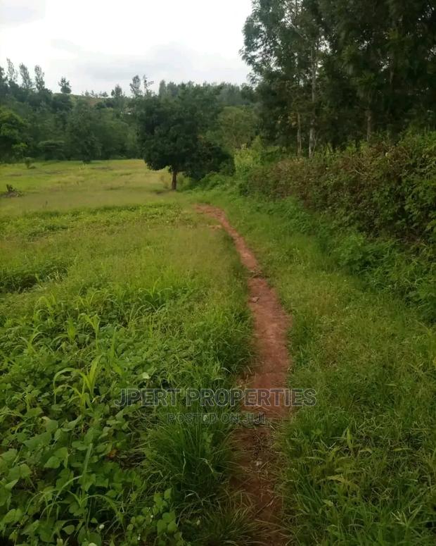 2 Acres for Sale - thumbnail 4