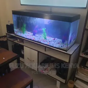 3ft Aquarium on Tv Stand