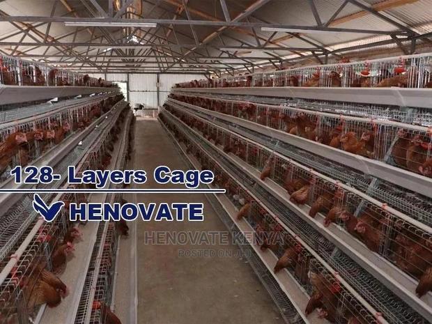 Chicken Layers Cage for 128 Birds - thumbnail 2