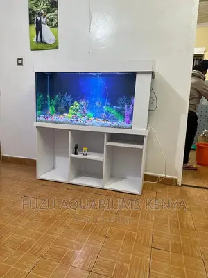 White Aquarium With Open Shelves