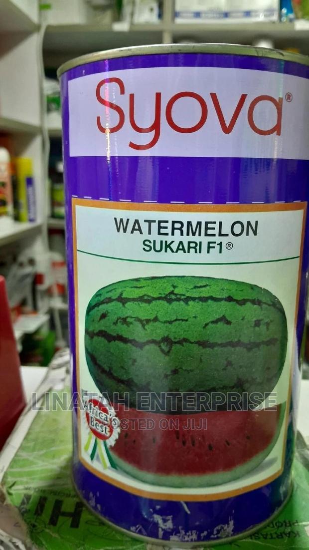Watermelon Sukari F1 1kg - thumbnail 2