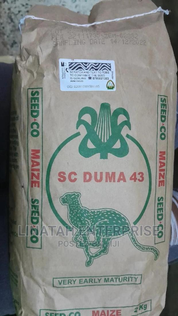 Duma 43 Maize Seeds 2kgs
