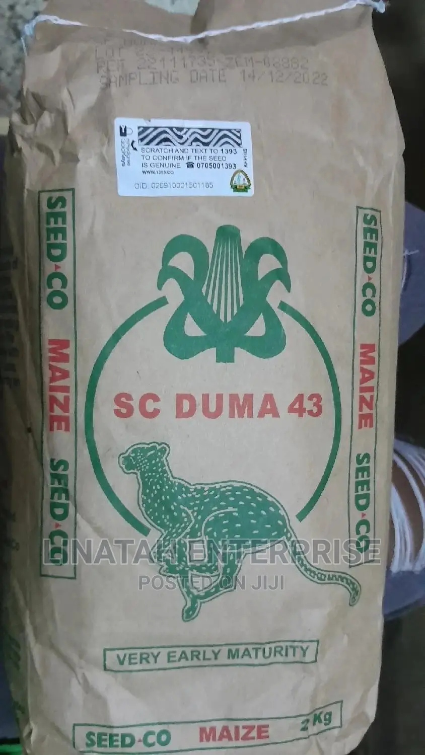 Duma 43 Maize Seeds 2kgs