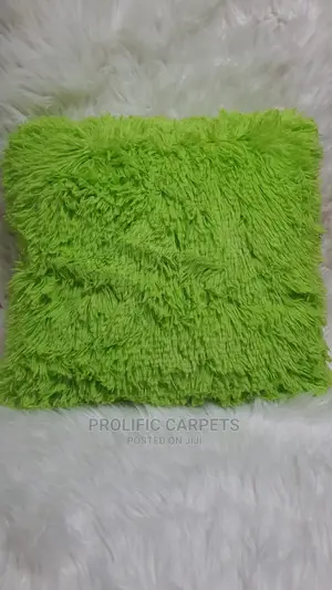 Throw Pillows