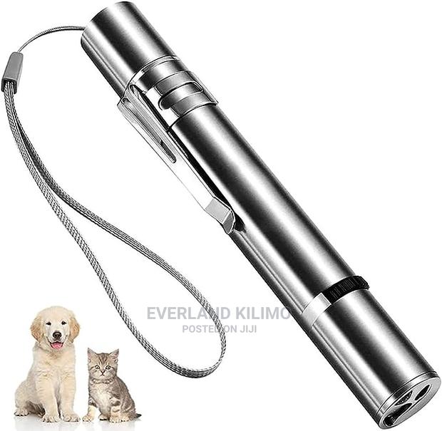 LED Cat Laser Toy - main view