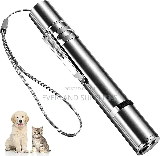 LED Cat Laser Toy