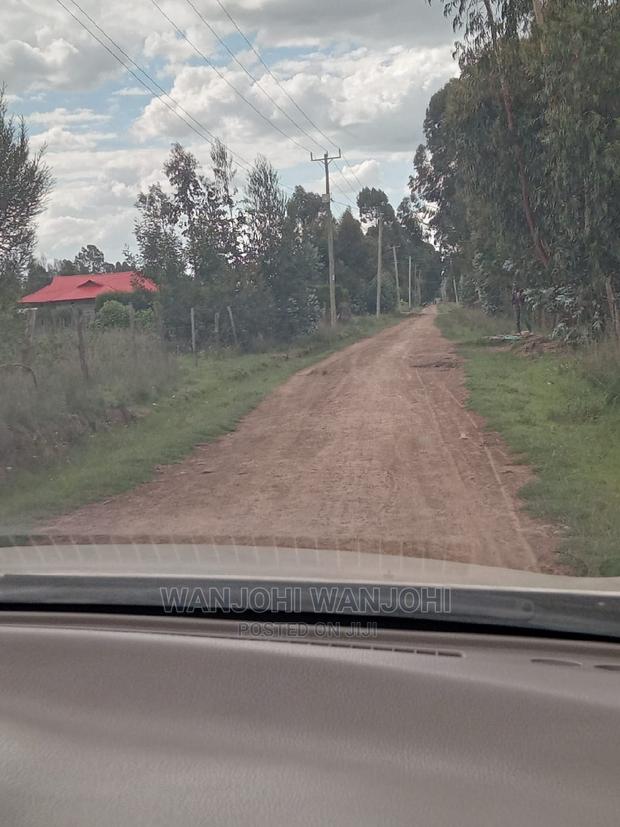 Exquisite Prime 50*100 Plots - main view