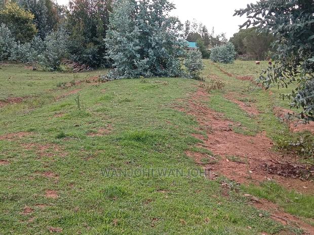 Exquisite Prime 50*100 Plots - thumbnail 4