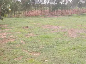 Jewel Plots in Nyandarua County
