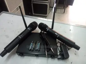 BNK Professional Bk902 Wireless Microphone (With Case)