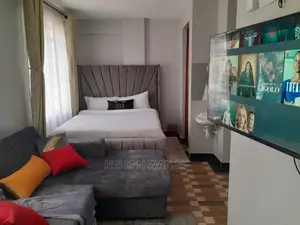 Studio Airbnb at Mirema Drive Roysambu