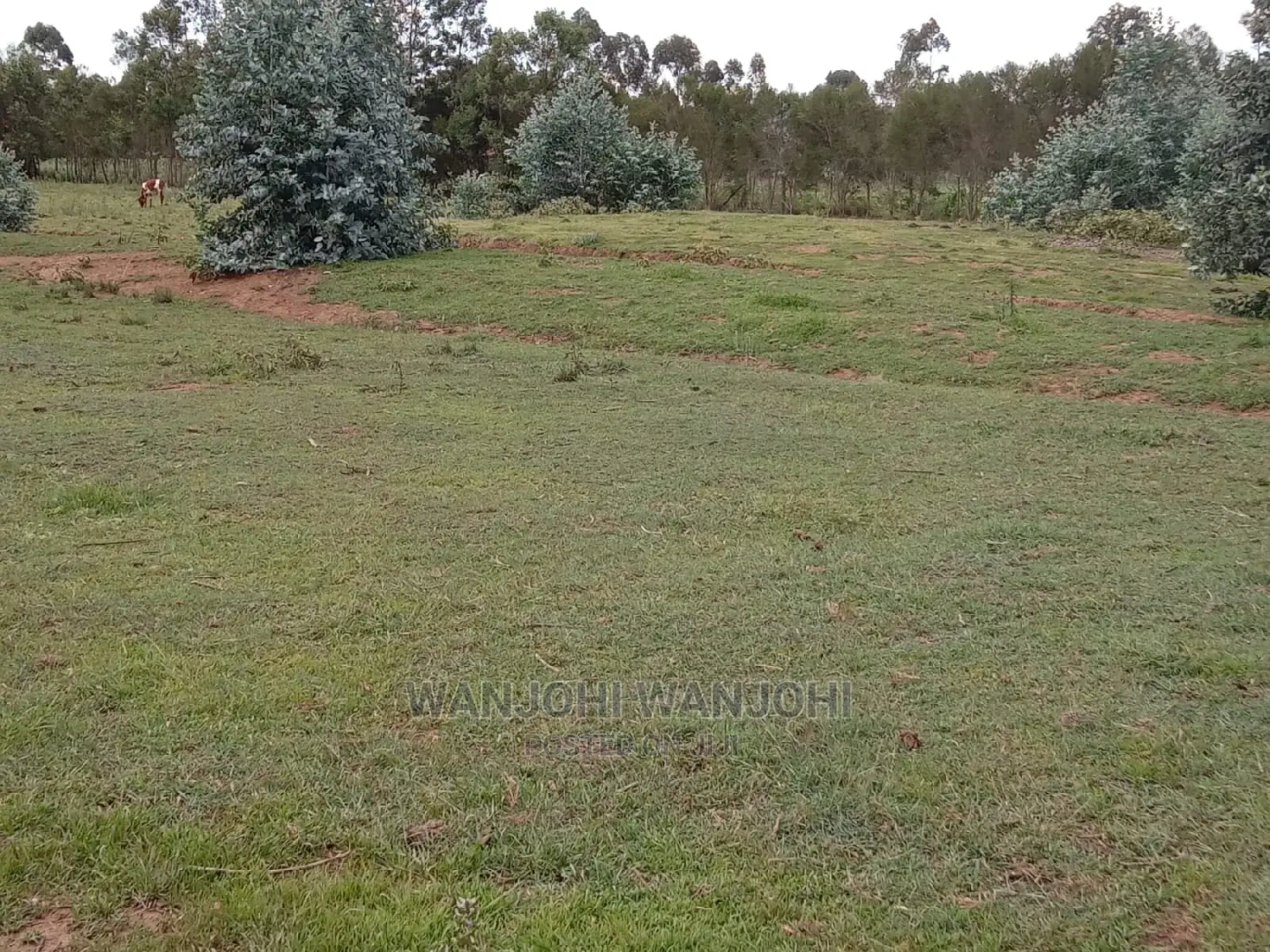 Serene 50x100 Plots