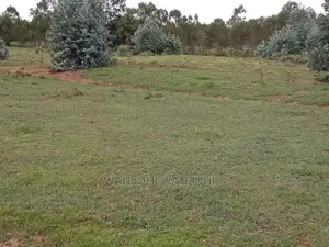 Serene 50x100 Plots