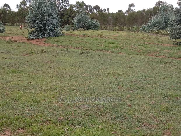 Serene 50x100 Plots - main view