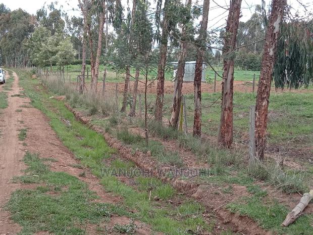 Serene 50x100 Plots - thumbnail 5