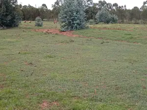 Serene 50x100 Plots