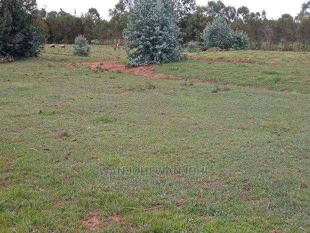 Serene 50x100 Plots - thumbnail 6