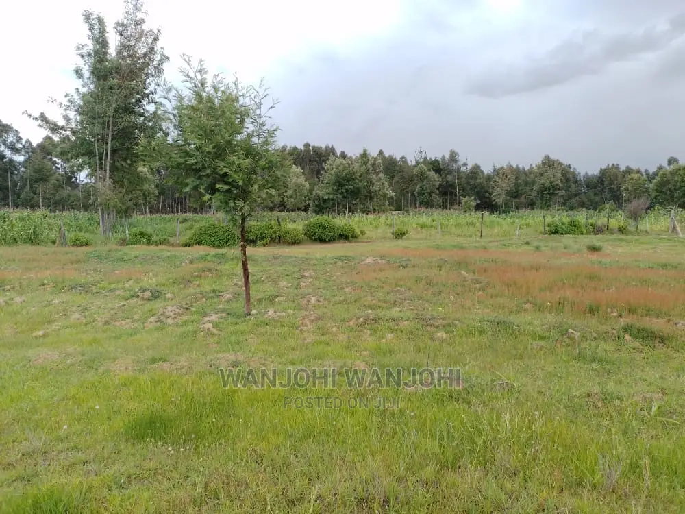 Top-Tier Plots in Nyandarua County