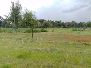 Top-Tier Plots in Nyandarua County