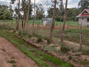 Affordable 50x100 Serene Plots - thumbnail 2