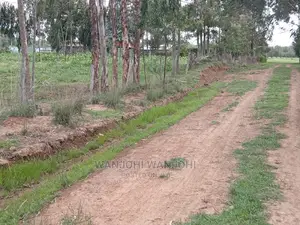 Affordable 50x100 Serene Plots
