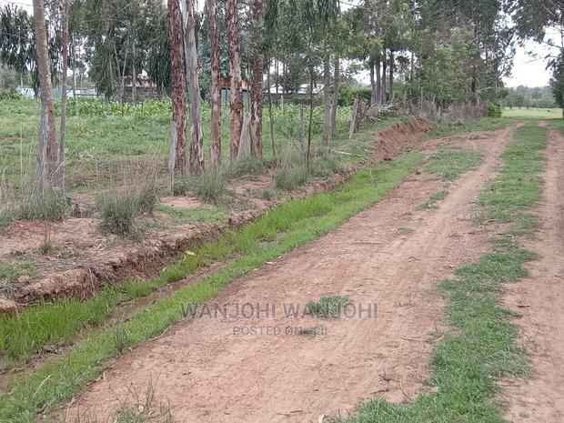 Affordable 50x100 Serene Plots - thumbnail 4