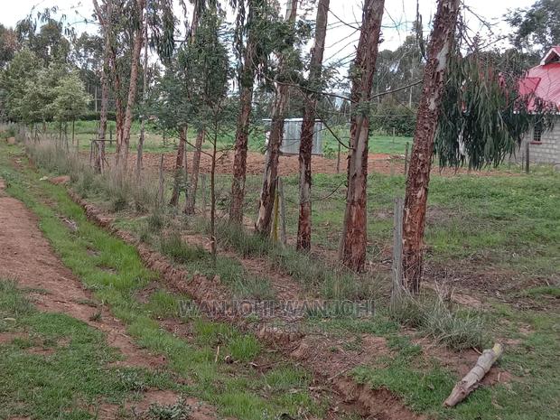 Affordable 50x100 Serene Plots - thumbnail 5