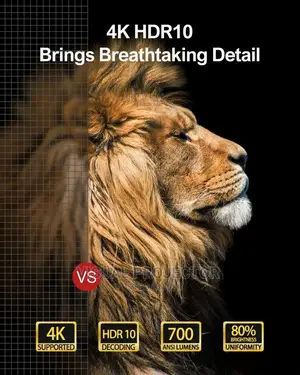 Appolo Ultima P40 Android Projector