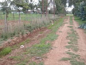 50x100 Plots (Prime Serene) - main view