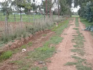 50x100 Plots (Prime Serene)