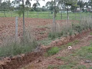 50x100 Plots (Prime Serene)