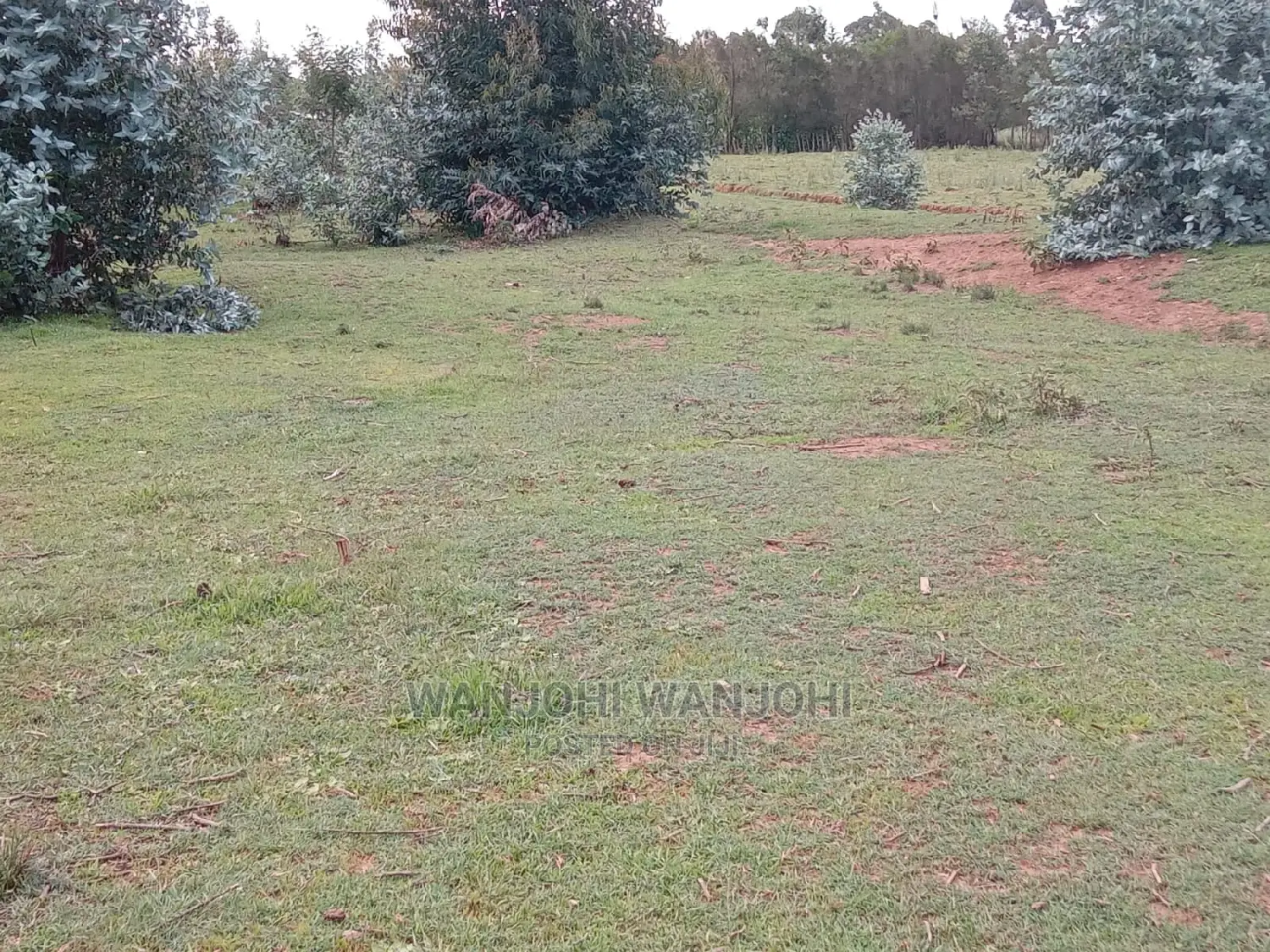 50x100 Plots (Prime Serene)
