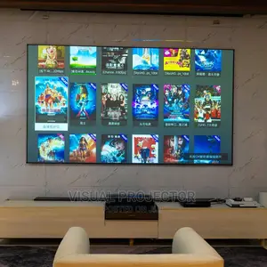 Screen Pro 100" Aluminum ALR Scree For Projector