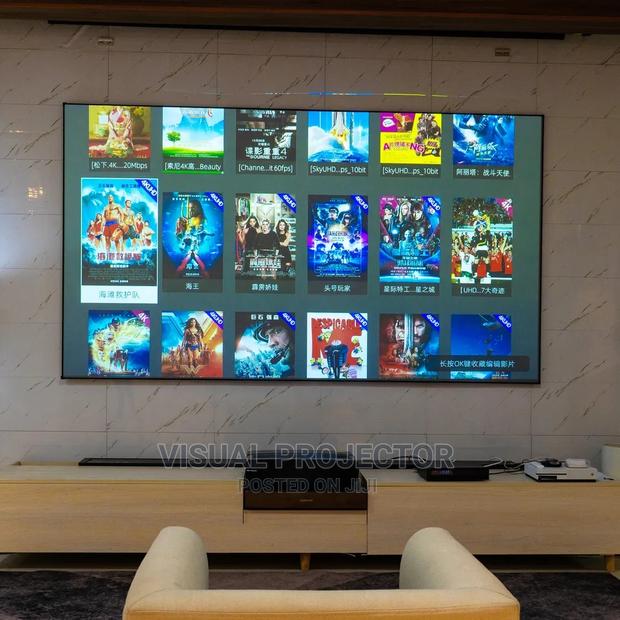 Screen Pro 100" Aluminum ALR Scree For Projector