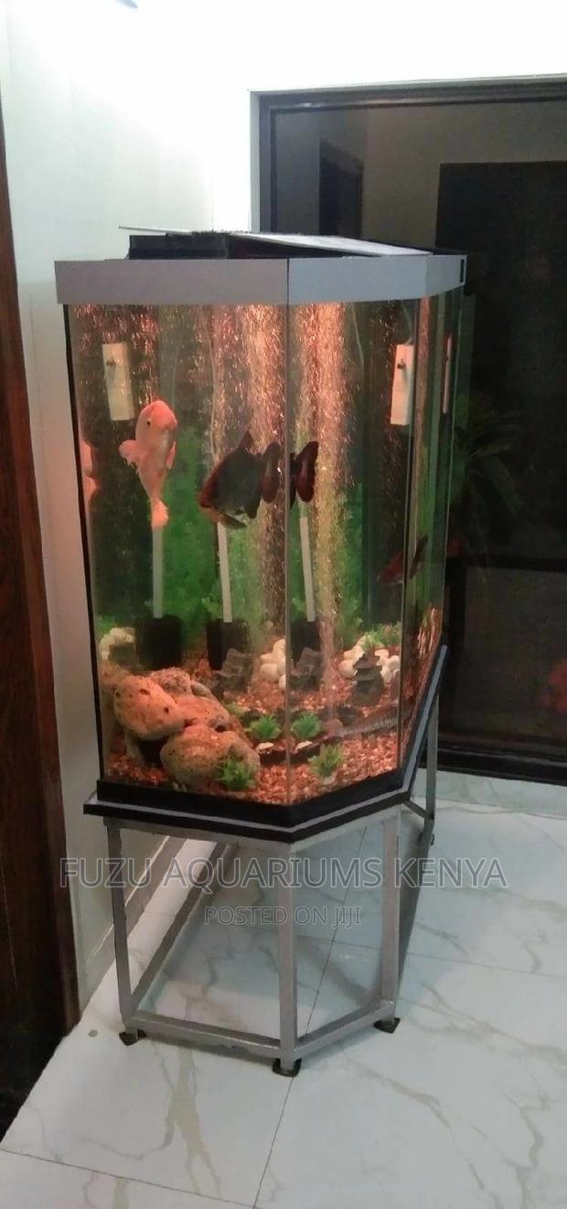 Semi-Circle Aquarium