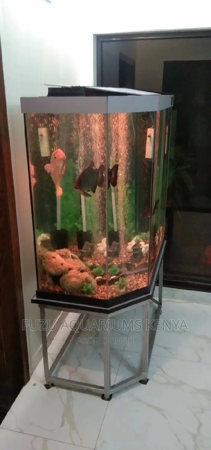 Semi-Circle Aquarium