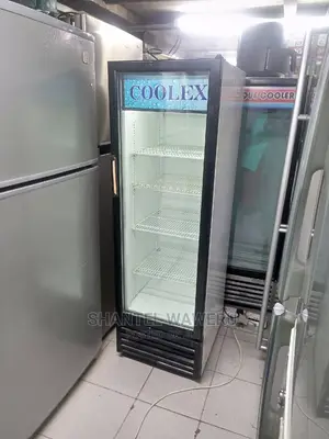 Display Fridge 300 Litres