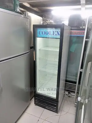 Display Fridge 300 Litres