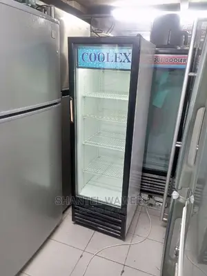 Display Fridge 300 Litres