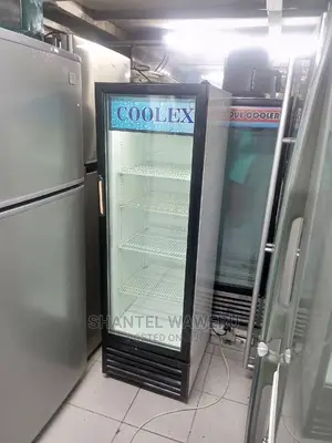 Display Fridge 300 Litres