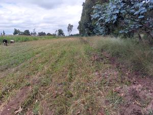 Prime 50/100 Plots in Olkalou - thumbnail 2