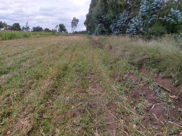 Prime 50/100 Plots in Olkalou - thumbnail 3