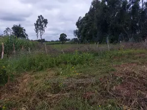 Affordable Prime 50x100 Plots
