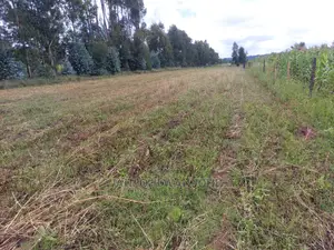 50x100 Exquisite Plots in Olkalou