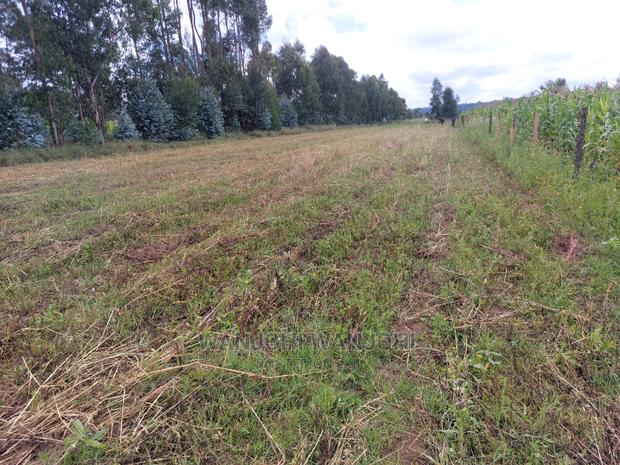 50x100 Exquisite Plots in Olkalou - thumbnail 2