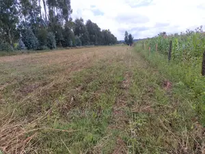 50x100 Exquisite Plots in Olkalou