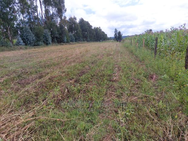 50x100 Exquisite Plots in Olkalou - thumbnail 3