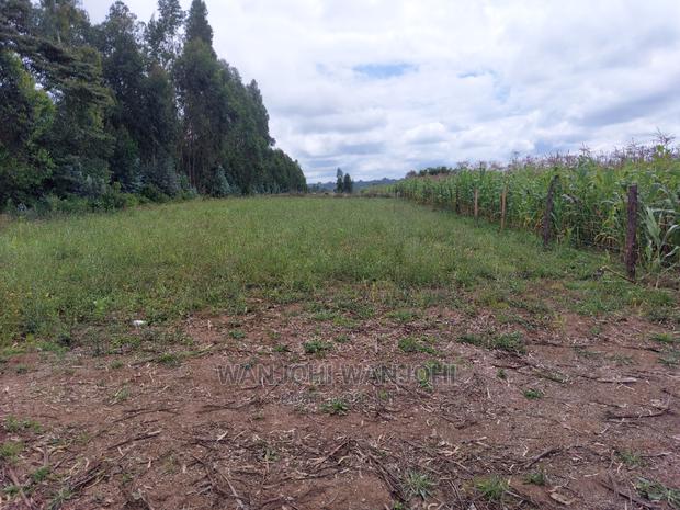 Prime 50x100 Plots - main view